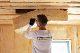 Eco-Friendly or Green Insulation Solutions in Thomasboro, IL