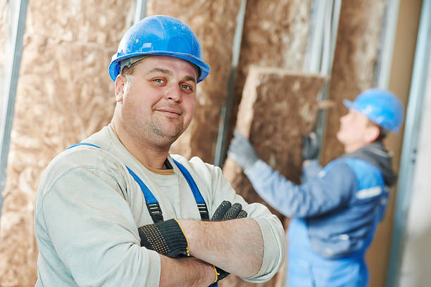 Thomasboro, IL Insulation Installation & Removal Company